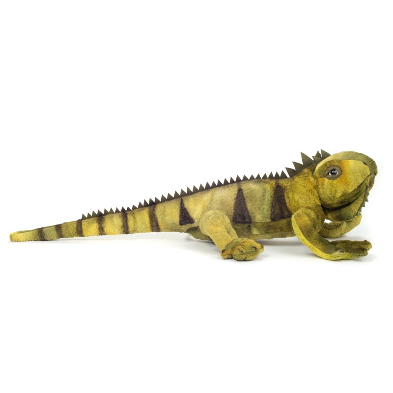 Knuffel Leguaan 49cm