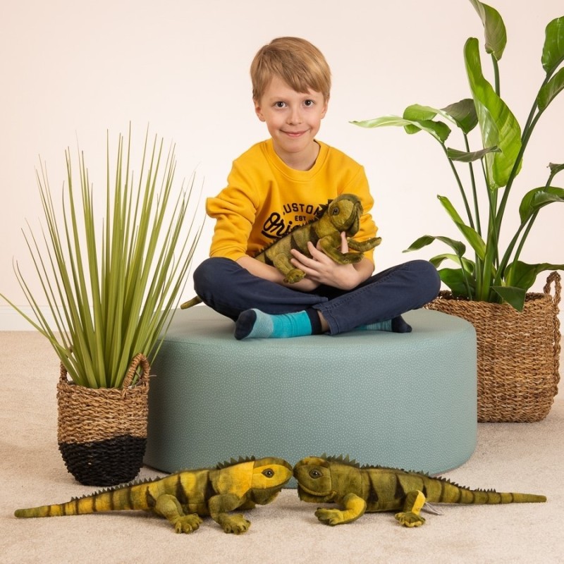 Knuffel Leguaan 49cm