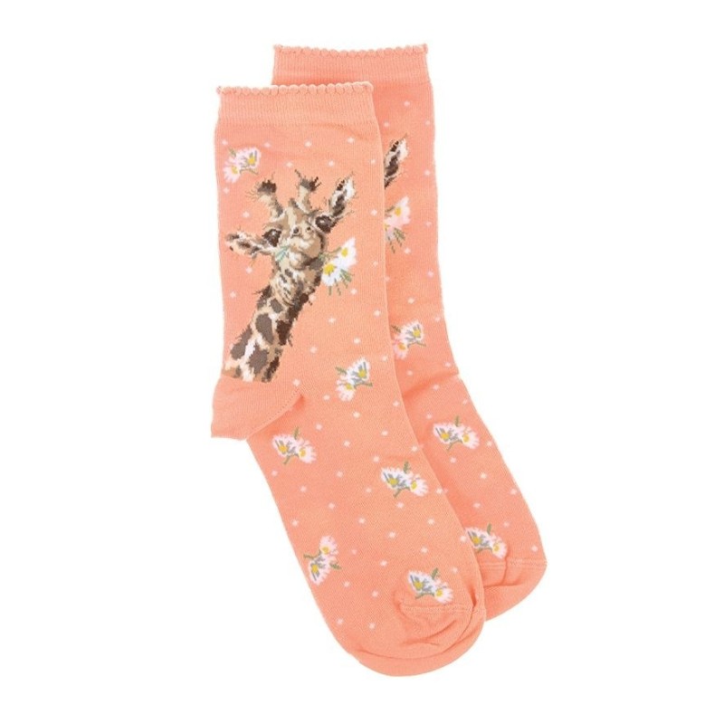 Sok Giraffe Flowers