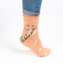 Sok Giraffe Flowers