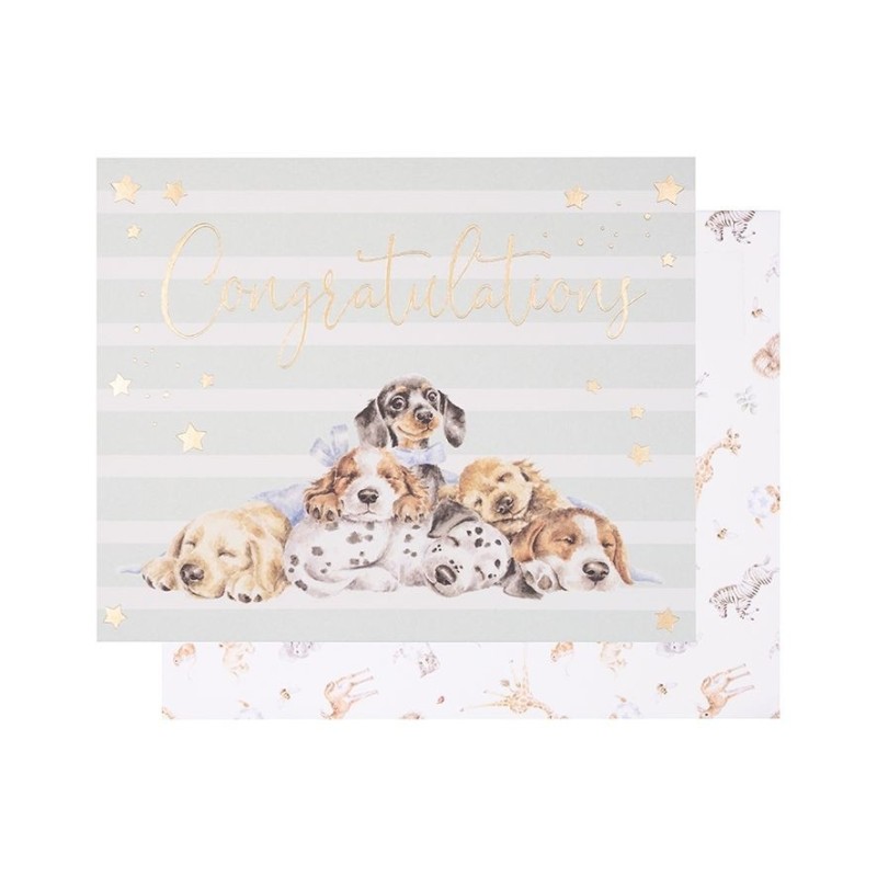 Wenskaart Little Paws - Congratulations
