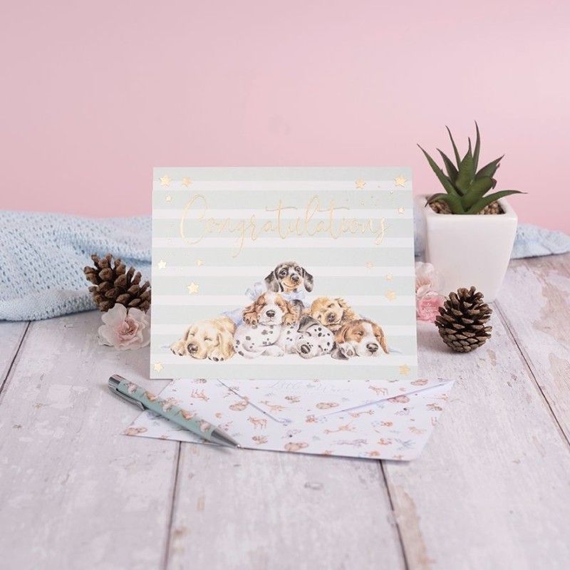 Wenskaart Little Paws - Congratulations