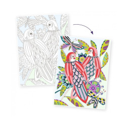 Kleurplaten Vogels in Portfolio Map 3-delig Kleurplaten Vogels in Portfolio Map 3-delig