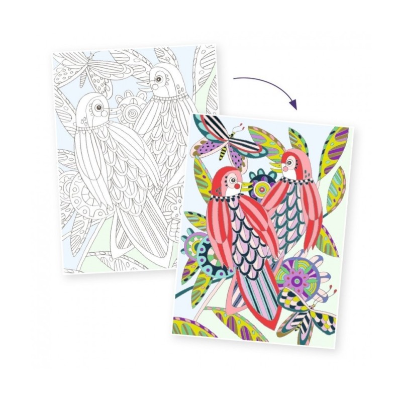 Kleurplaten Vogels in Portfolio Map 3-delig Kleurplaten Vogels in Portfolio Map 3-delig