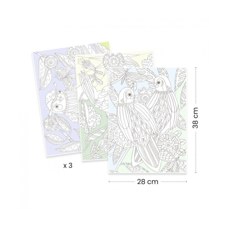 Kleurplaten Vogels in Portfolio Map 3-delig Kleurplaten Vogels in Portfolio Map 3-delig
