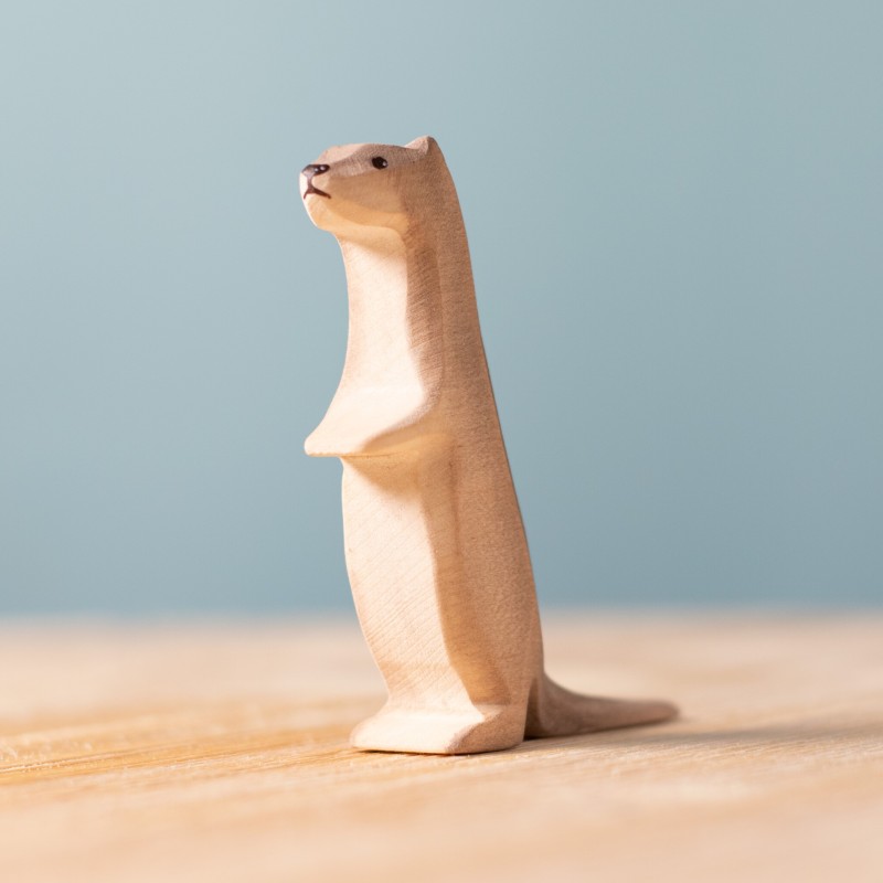 Otter Rechtop