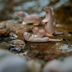 Otter Rechtop