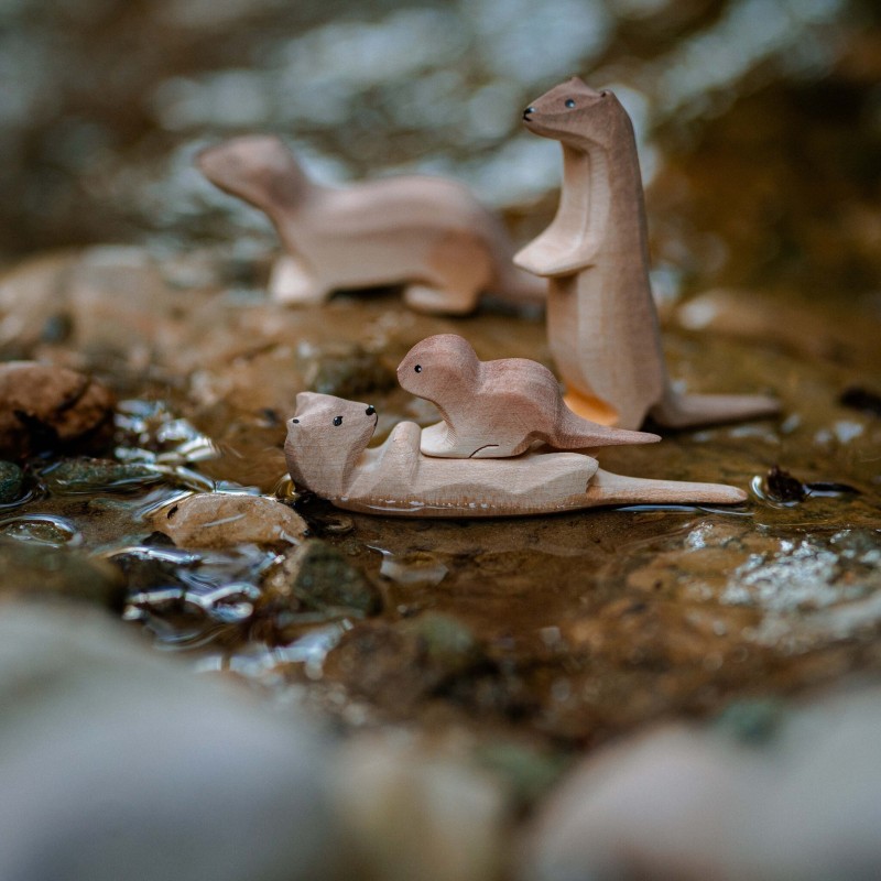 Otter Rechtop