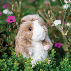 Knuffel Cavia Large 26cm Knuffel Cavia Large 26cm