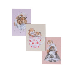 Set of 3 Notebooks - Whiskers and Paws