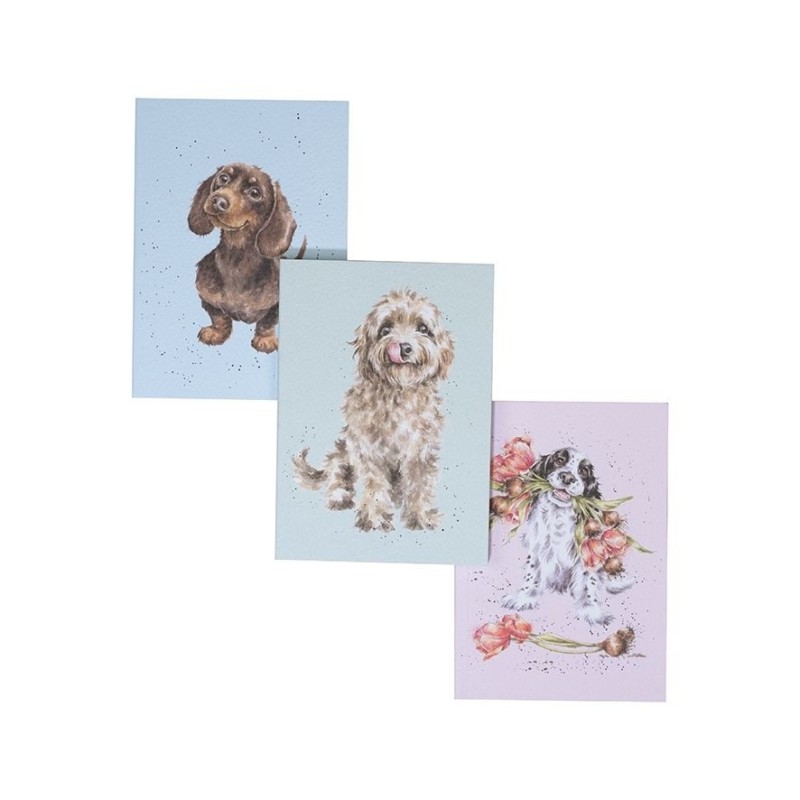 Set of 3 Notebooks - A Dog's Life