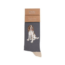 Sokken - Spaniel Men's Sock - Willow