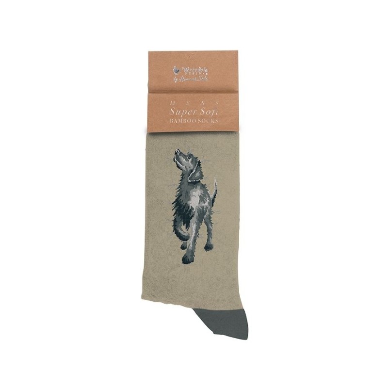 Sokken - Black Labrador Men's Sock - Walkies