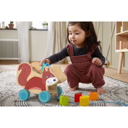 Trekfiguur Eekhoorn