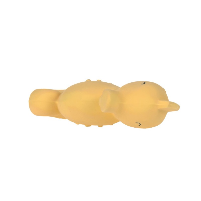 Baby Badspeelgoed Zeepaardje