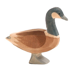 Gans Canadees 22701