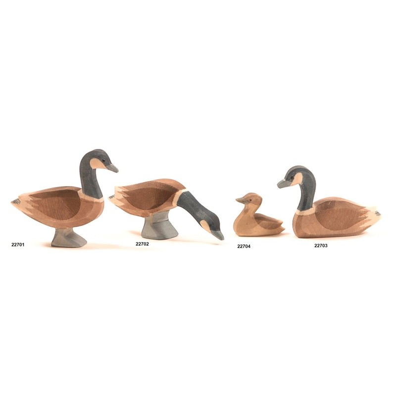 Gans Canadees 22701 Gans Canadees 22701
