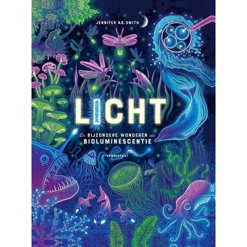 Licht Licht