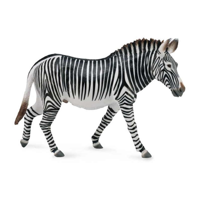 Grévyzebra 88773