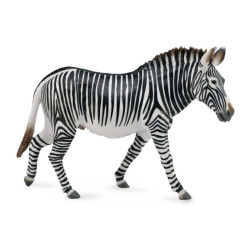 Grévyzebra 88773