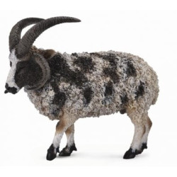 Jacobschaap 88728