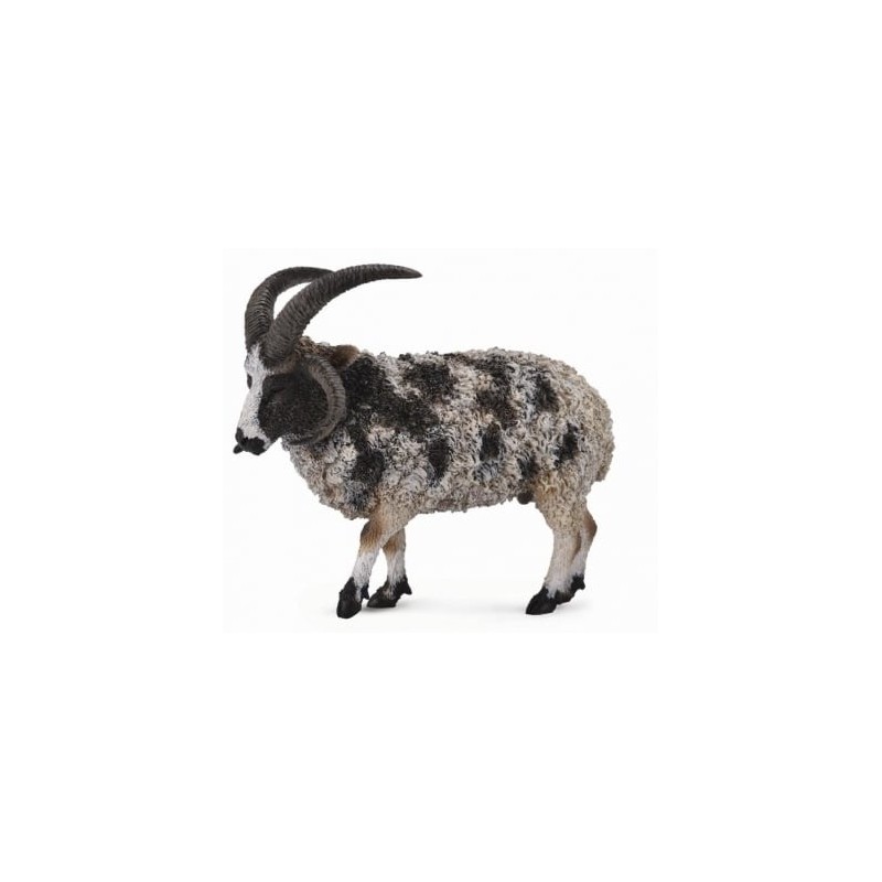 Jacobschaap 88728