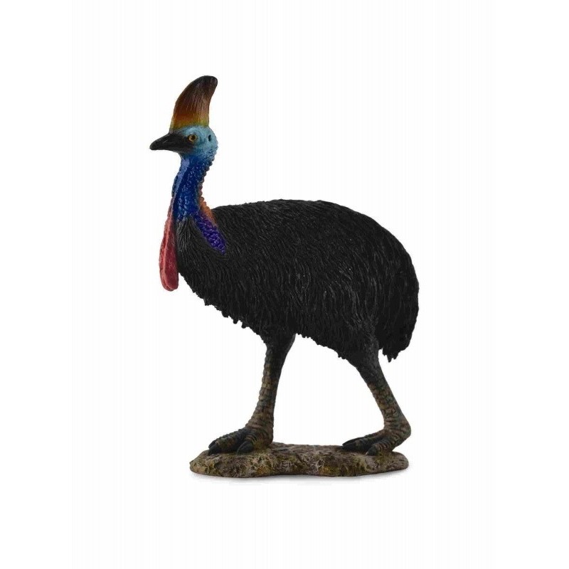 Casuarius 88651