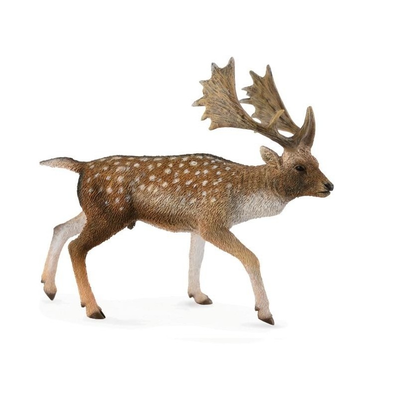 Damhert Bok 88685