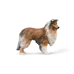 Collie 88997