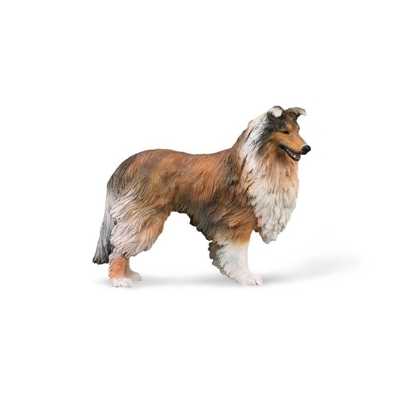 Collie 88997