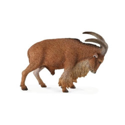 Barbarijs Schaap 88683