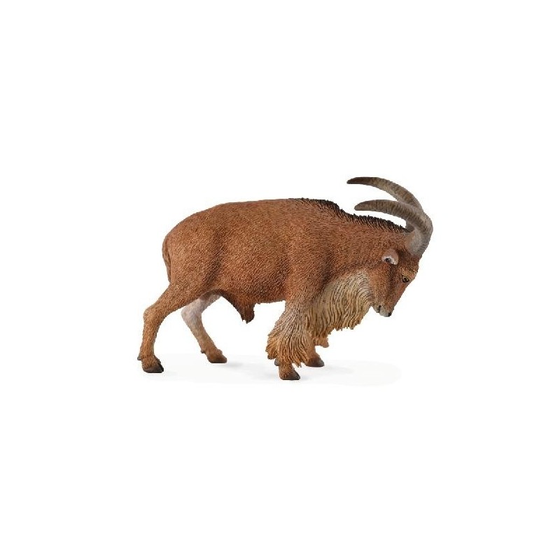 Barbarijs Schaap 88683