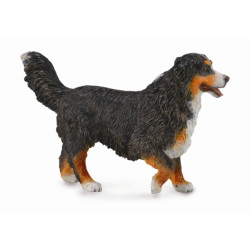 Berner Sennenhond 88801