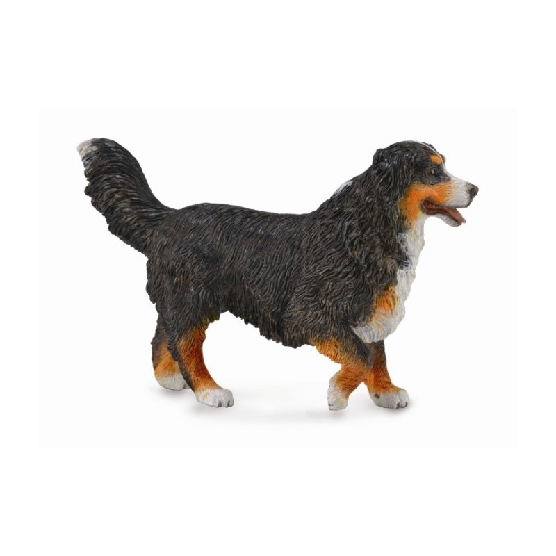 Berner Sennenhond 88801