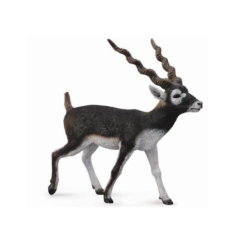 Antiloop Zwarte Bok 88638