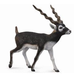 Antiloop Zwarte Bok 88638