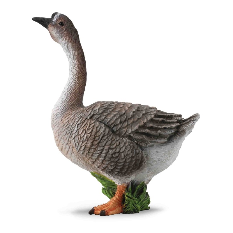 Gans 88571