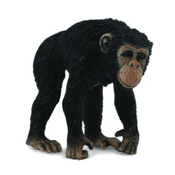 Chimpanseewijfje 88493