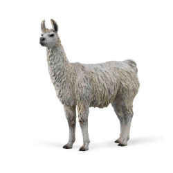 Lama 88991
