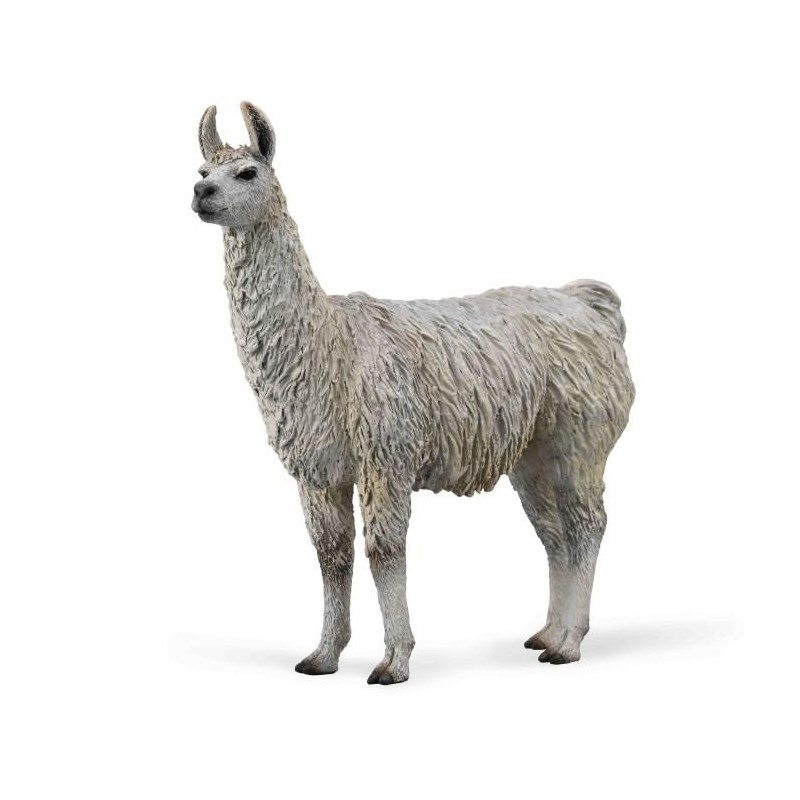 Lama 88991