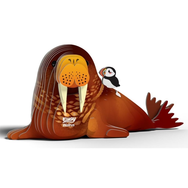 3D Bouwpakket Walrus