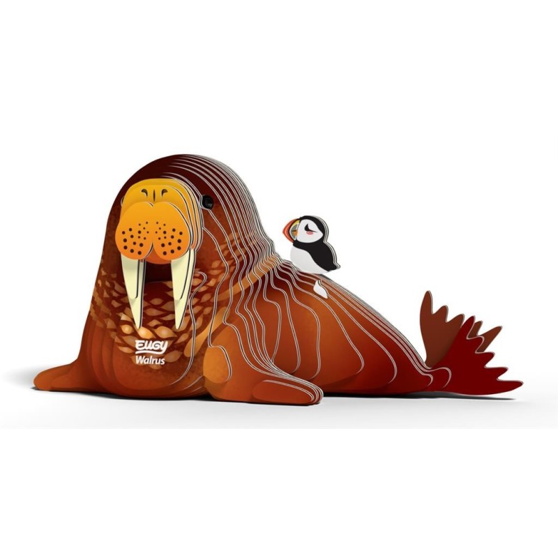 3D Bouwpakket Walrus