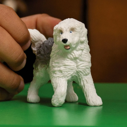Bobtail Bobtail