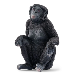 Bonobo Vrouwtje