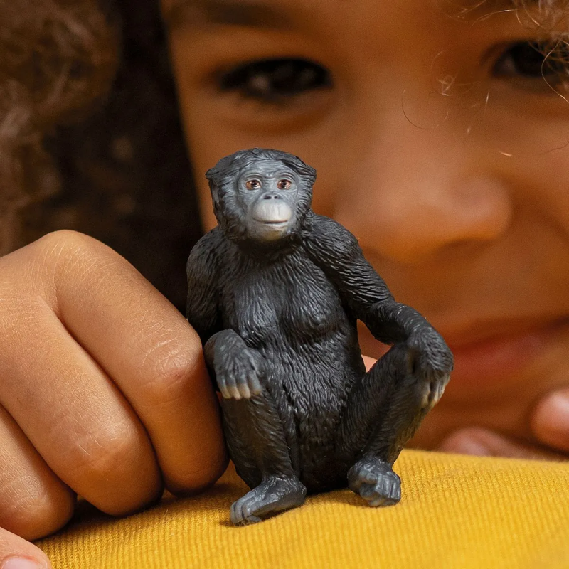 Bonobo Vrouwtje Bonobo Vrouwtje