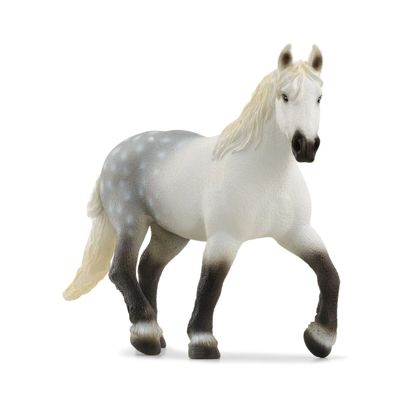 Percheron Merrie 13971