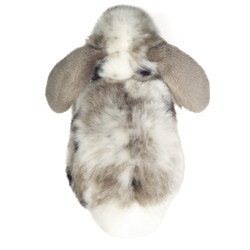 Knuffel Konijn Ram Grijs Wit 23 cm Knuffel Konijn Ram Grijs Wit 23 cm