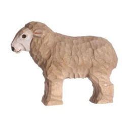 Schaap 40605
