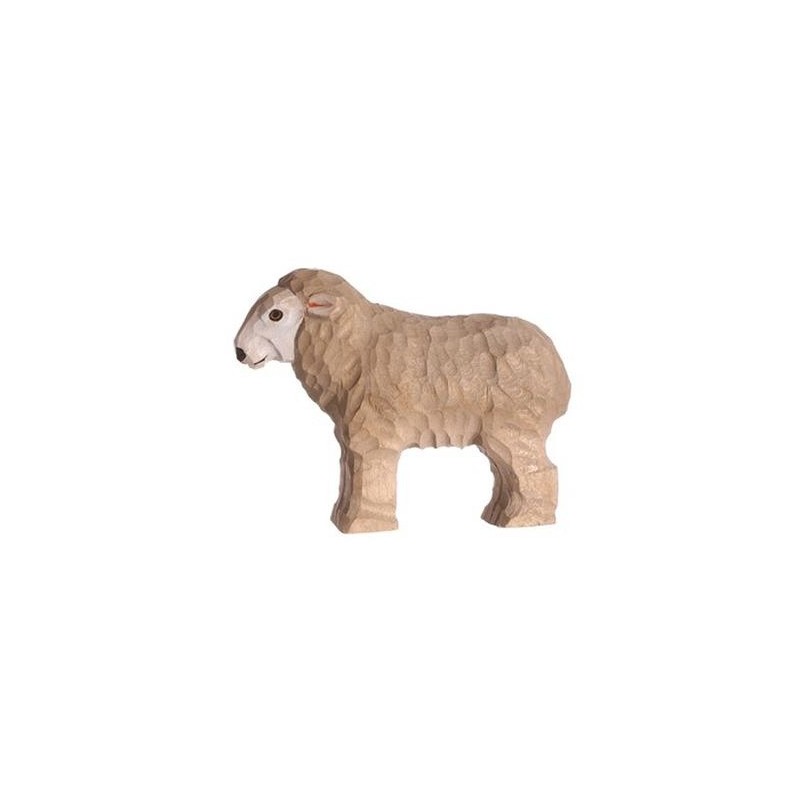 Schaap 40605 Schaap 40605