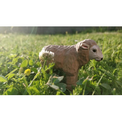 Schaap 40605 Schaap 40605
